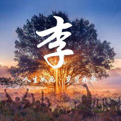 战争艺术无限进化无限金币版下载