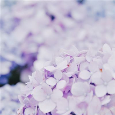 好博体育APP-好博体育最新版下载V8.95.56.991 -破解版